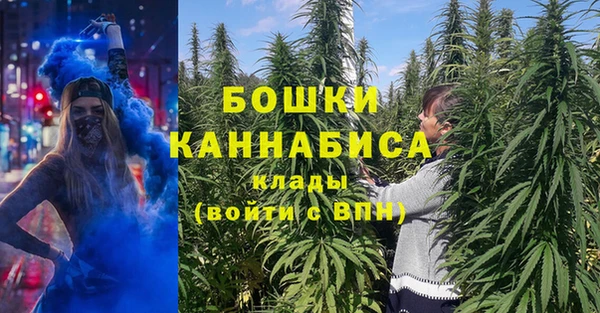spice Козловка