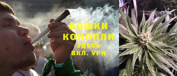 mdpv Кодинск