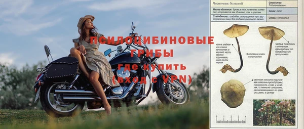 spice Козловка