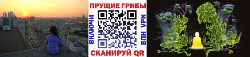 Псилоцибиновые грибы Cubensis  Купить  Верхняя Салда 